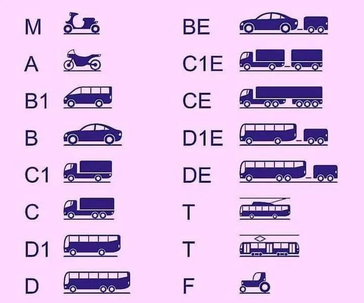 Acheter un permis de conduire sans examen